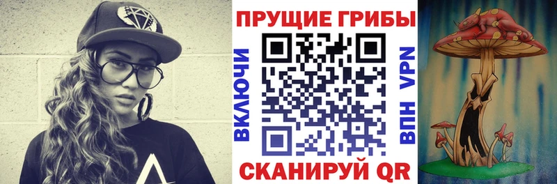 где купить наркоту  Бутурлиновка  Галлюциногенные грибы мицелий 
