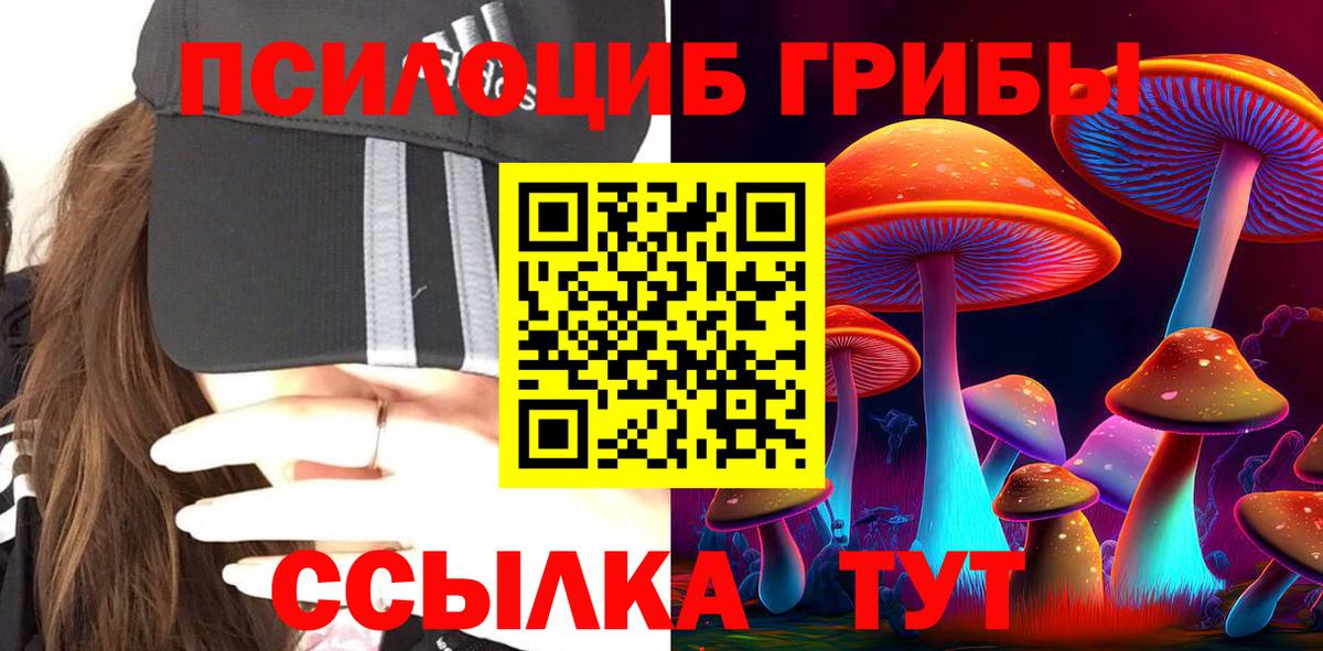 Галлюциногенные грибы мухоморы  Бутурлиновка  Псилоцибиновые грибы Psilocybine cubensis 