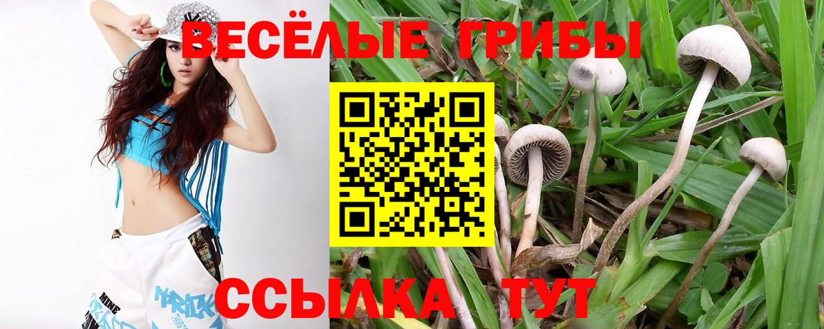 ГАШ  Кокаин  Каннабис  Экстази  Бутурлиновка  МЕФ кристаллы  Вход с VPN 