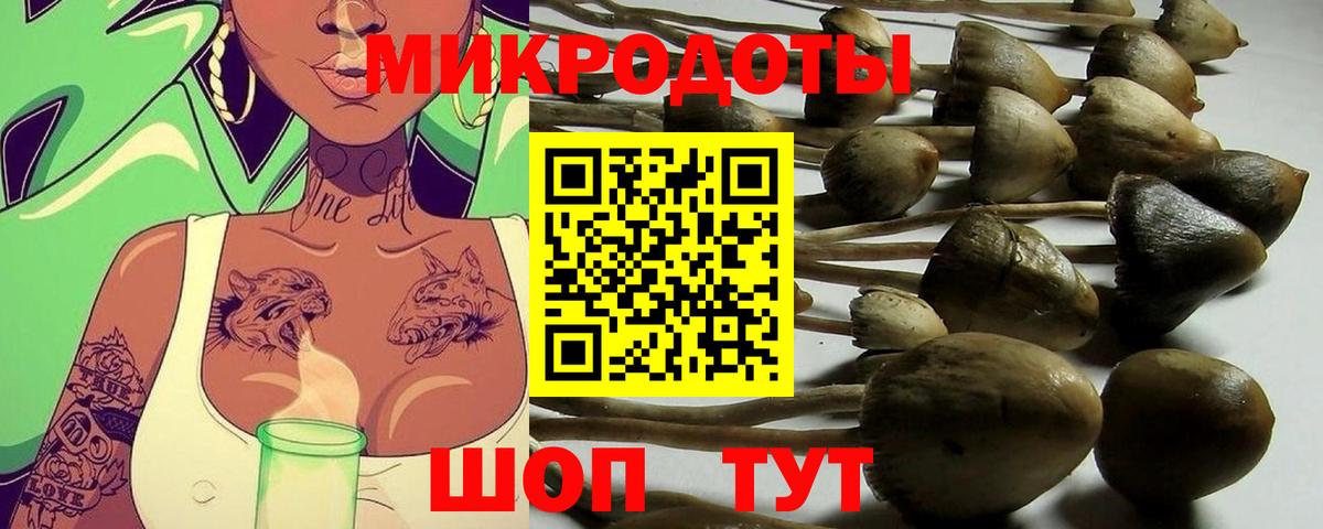 Галлюциногенные грибы мицелий Бутурлиновка