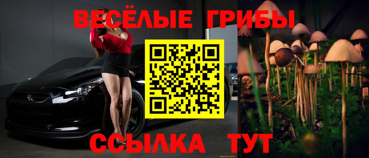 Бутурлиновка  Галлюциногенные грибы Magic Shrooms  Вход с VPN 